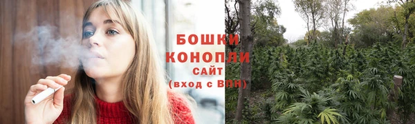 твердый Дмитровск