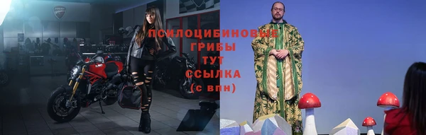 твердый Дмитровск