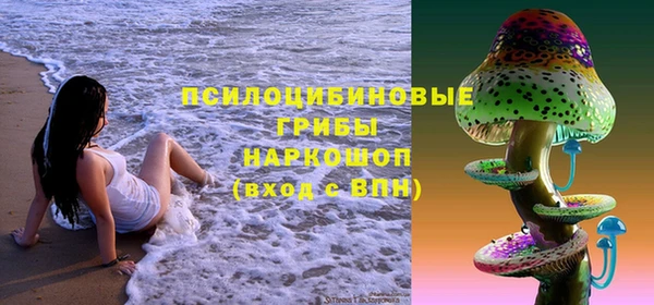 соль курить ск Дмитров