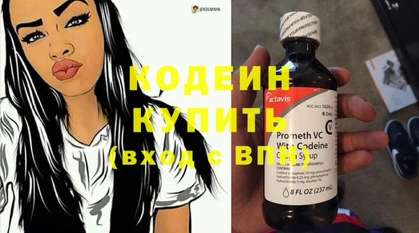 твердый Дмитровск