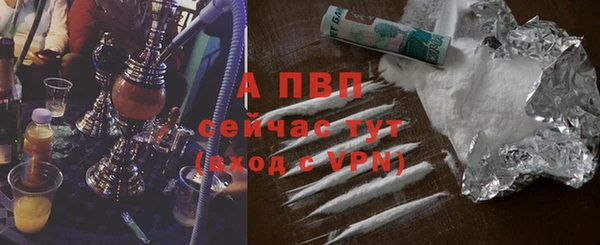 прущая мука Дмитриев