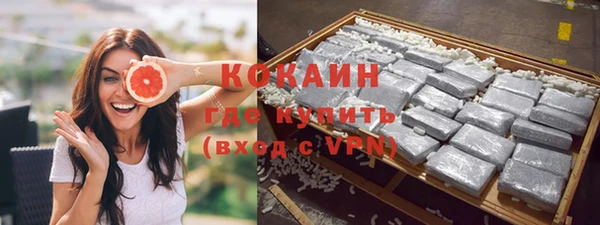 прущая мука Дмитриев